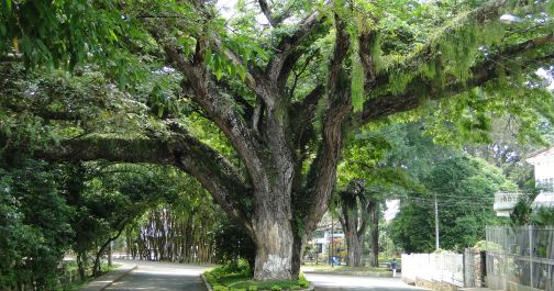 Santander de Quilichao